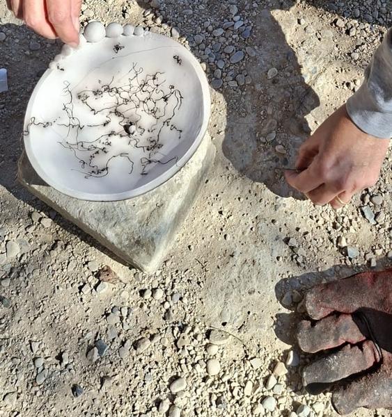 Atelier terre : réalisation d'une chimère_Villages du lac de Paladru