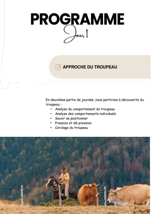 Stage découverte - Dressage cheval de ranch_Bézac
