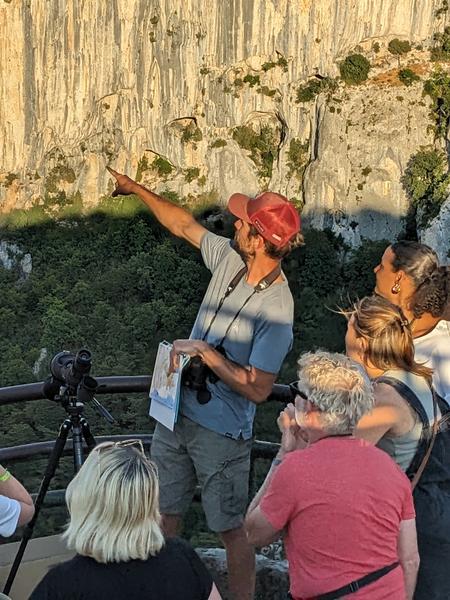 Découvrir les oiseaux et les chamois du Verdon_Castellane