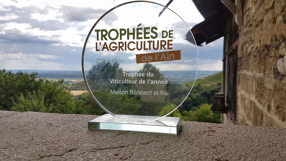 Maison Bonnard à Seillonnaz