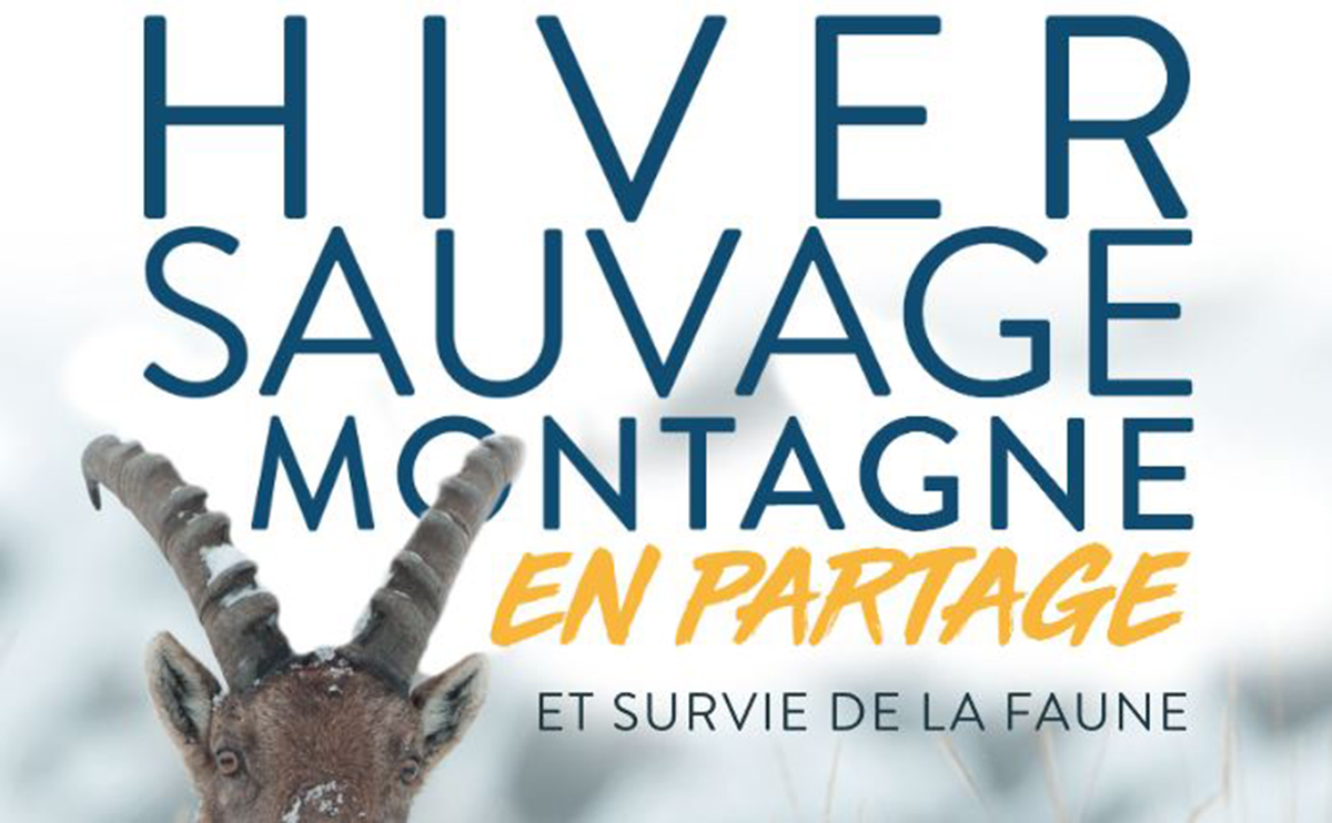 Exposition "Hiver sauvage"