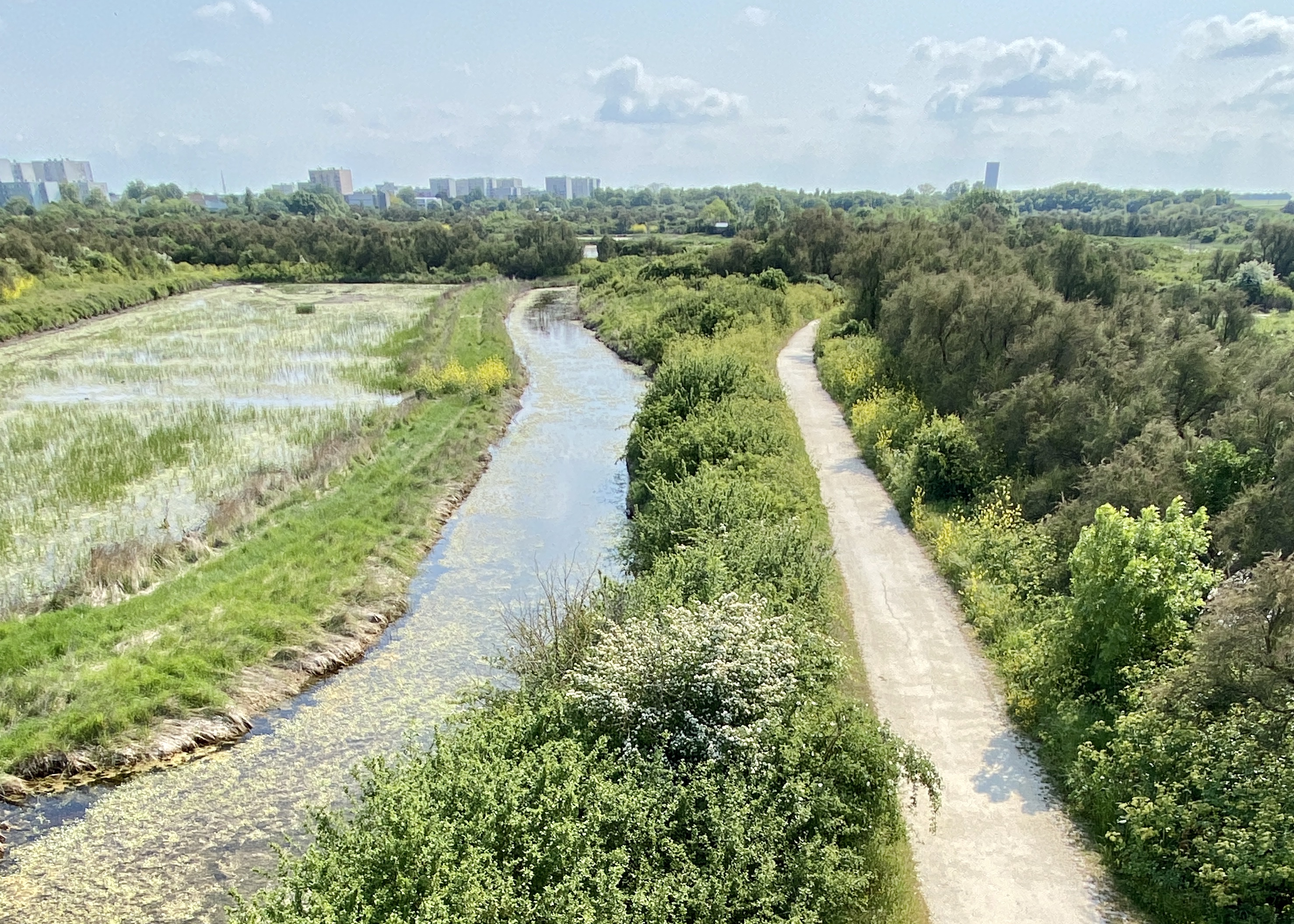 La Rochelle, son marais salant du moyen âge à aujourd’hui