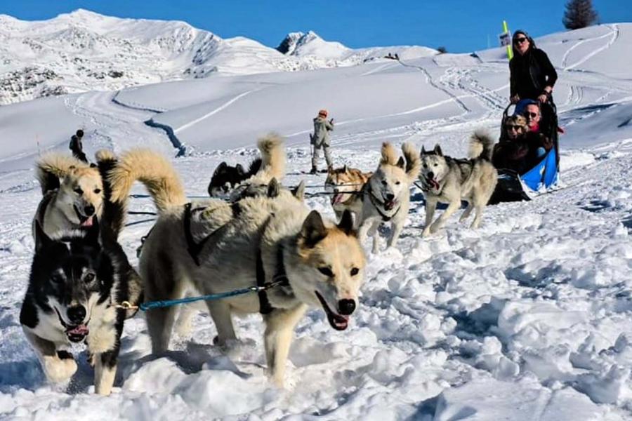 Les Traineaux de Super Besse