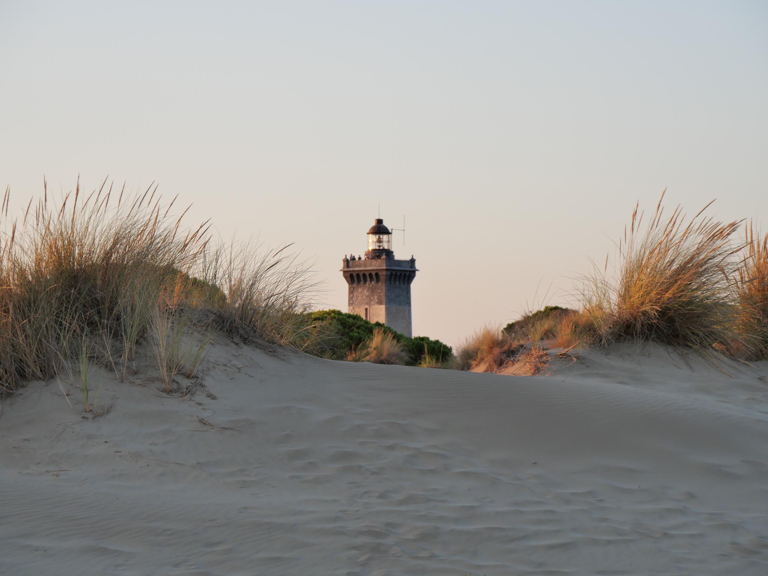 Rendez-vous éclats de savoir : "A la rencontre d'un ornithologue"