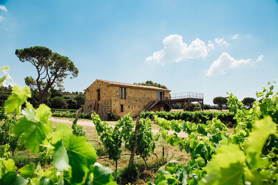 Domaine Les Perpetus