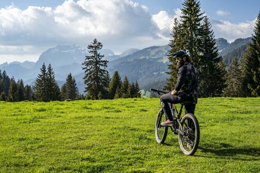 Supervised tour on enduro MTB or e-bike in the Abondance Valley