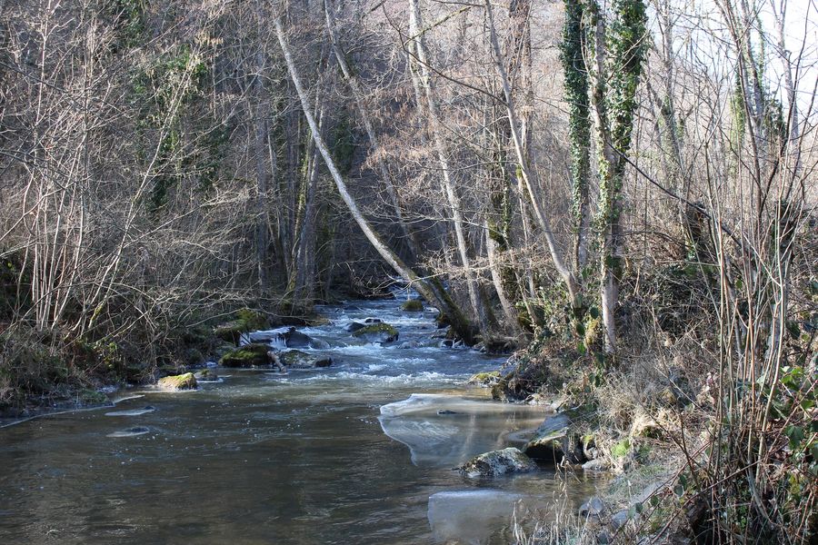Site de pêche - Rivière La Morge