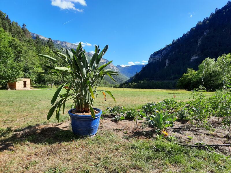 La Bergerie à Menée- Gerbe Nicolas- Châtillon