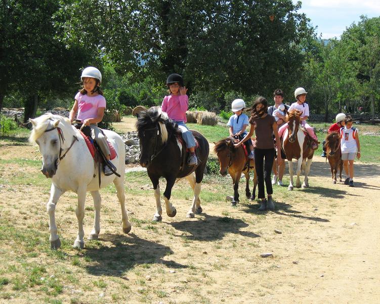 Pony rides and themed pony courses