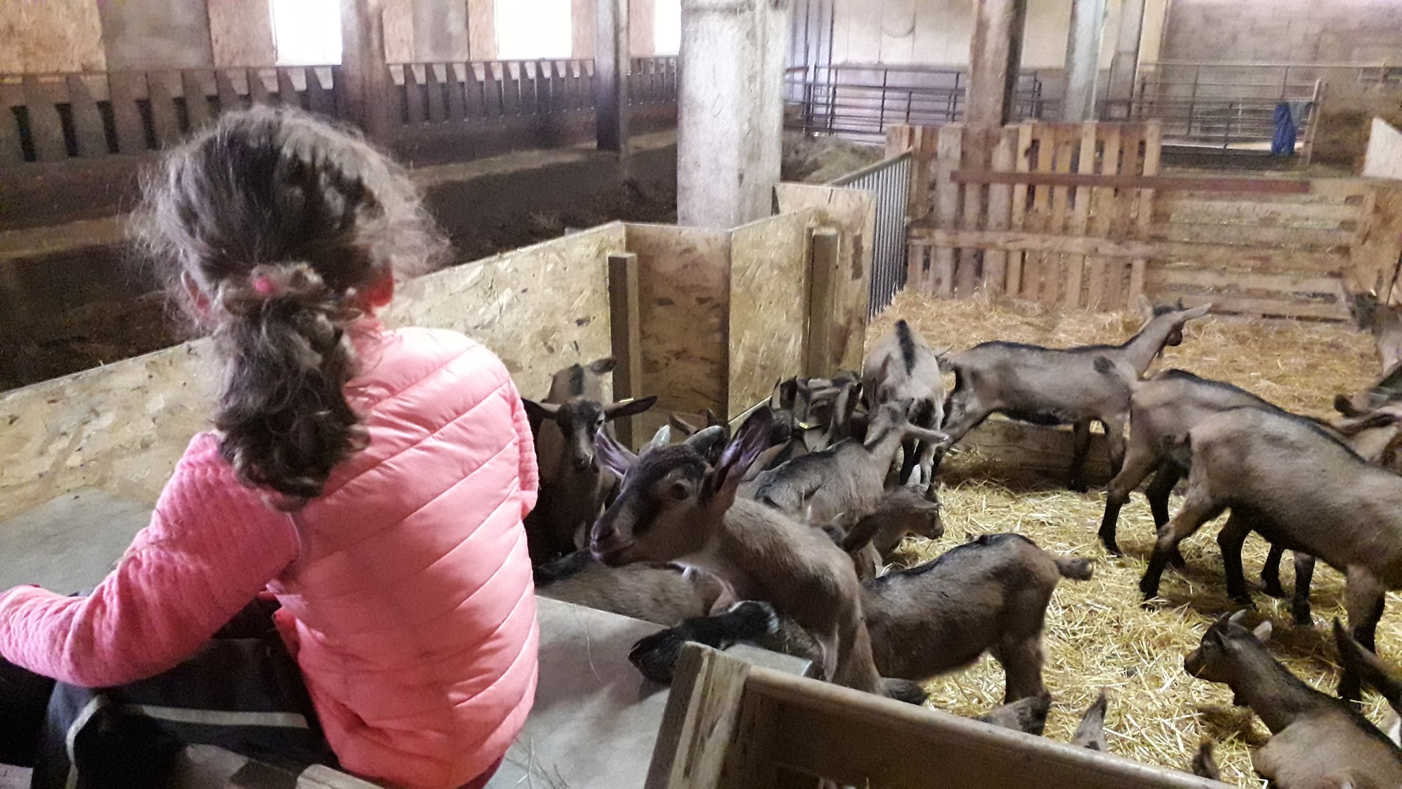 De Ferme en ferme : Visite de la Ferme de la Louvèche
