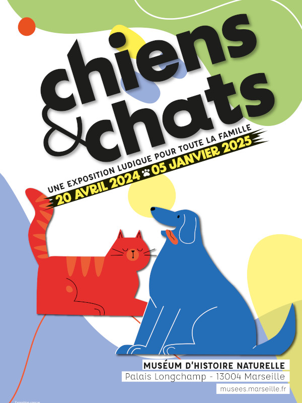 Chiens & chats - Muséum d’histoire naturelle de Marseille - Ville de Marseille