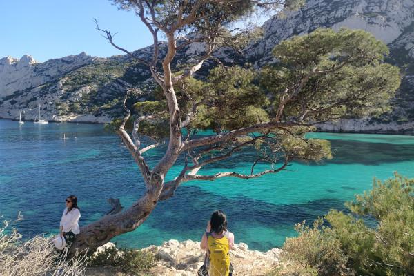 Randonnée baignade à la Calanque Sormiou - demi-journée