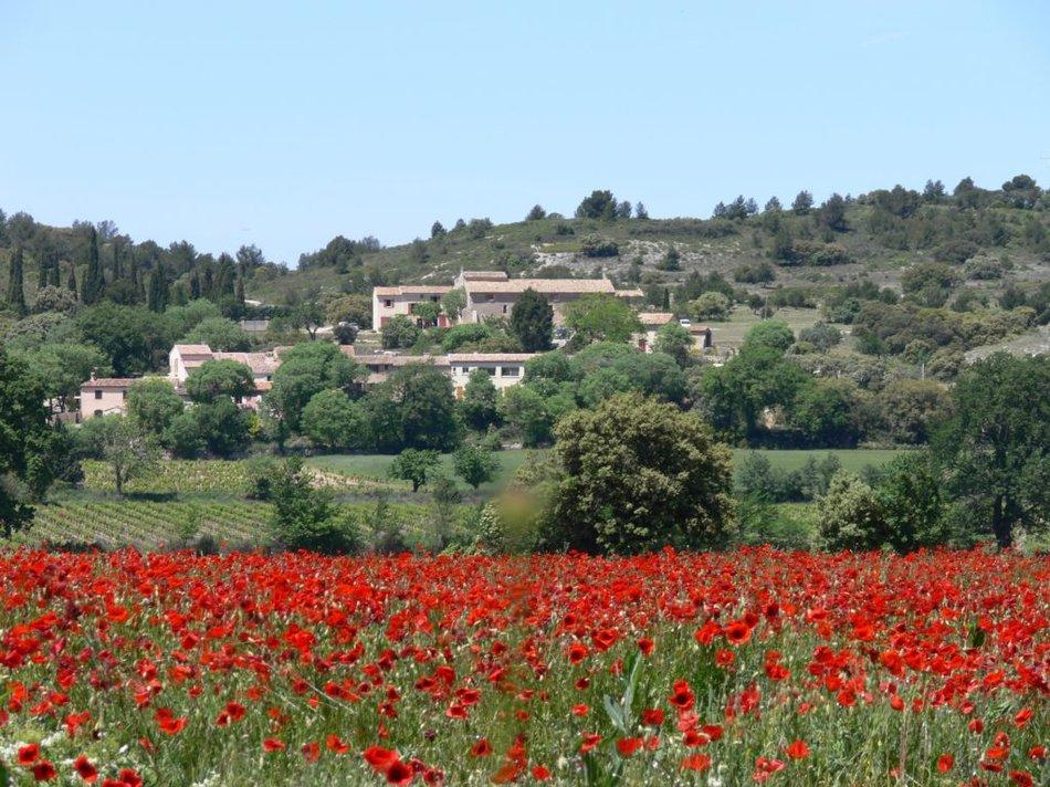 La Pichouline, Vernègues - photo 29