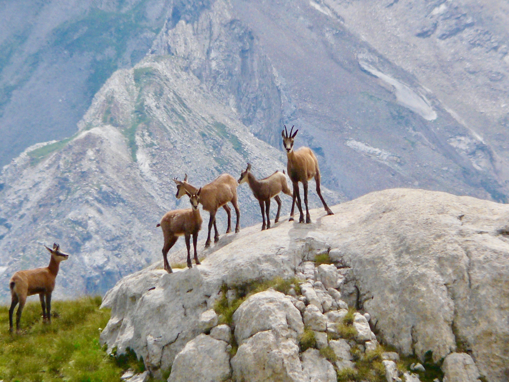 BUREAU MONTAGNE SERRE PONÇON ECRINS