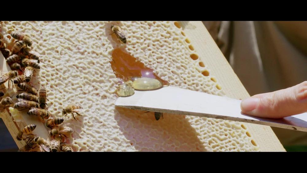 Des dégustations à la ferme