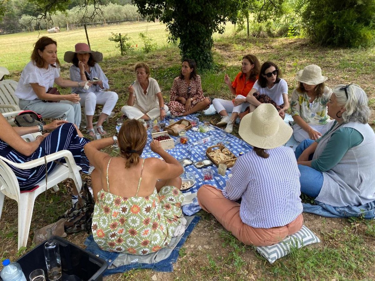 Attelage Evasion - photo 5