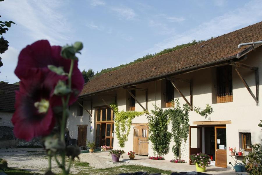 vue générale de la ferme