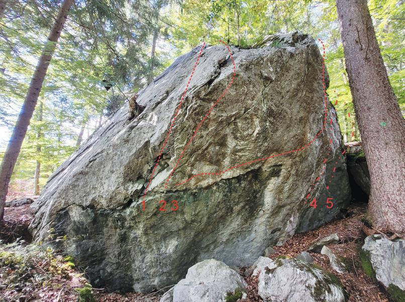 Blocs d'escalade du Plateau d'Assy_Passy