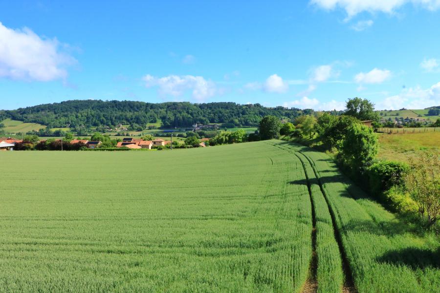 Chambres d'Hôtes Entre Zénitude et Gourmandise à St Chef aux Balcons du Dauphiné