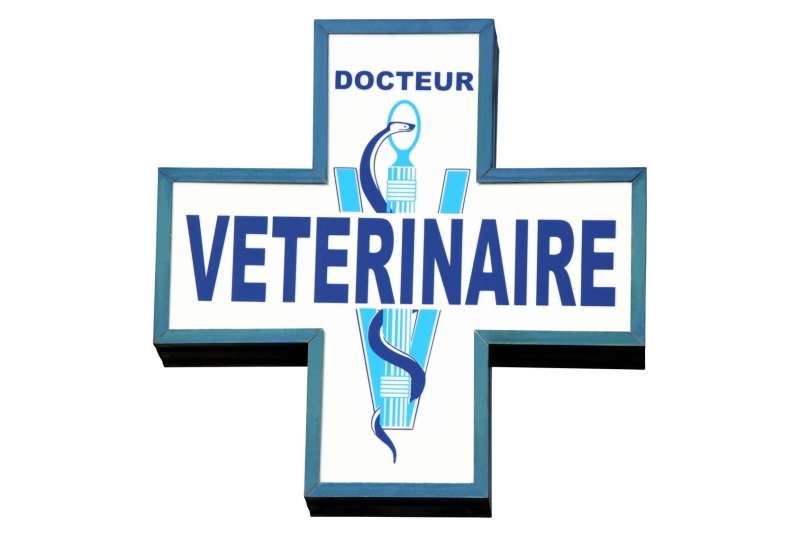 Cabinet Vétérinaire Dune et Océan