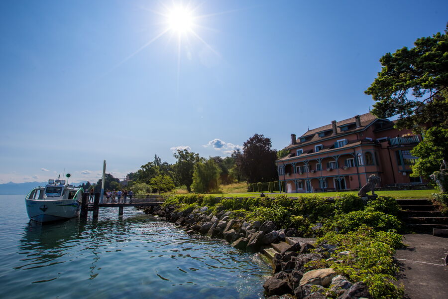 L'Agrion aux Jardins de l'Eau