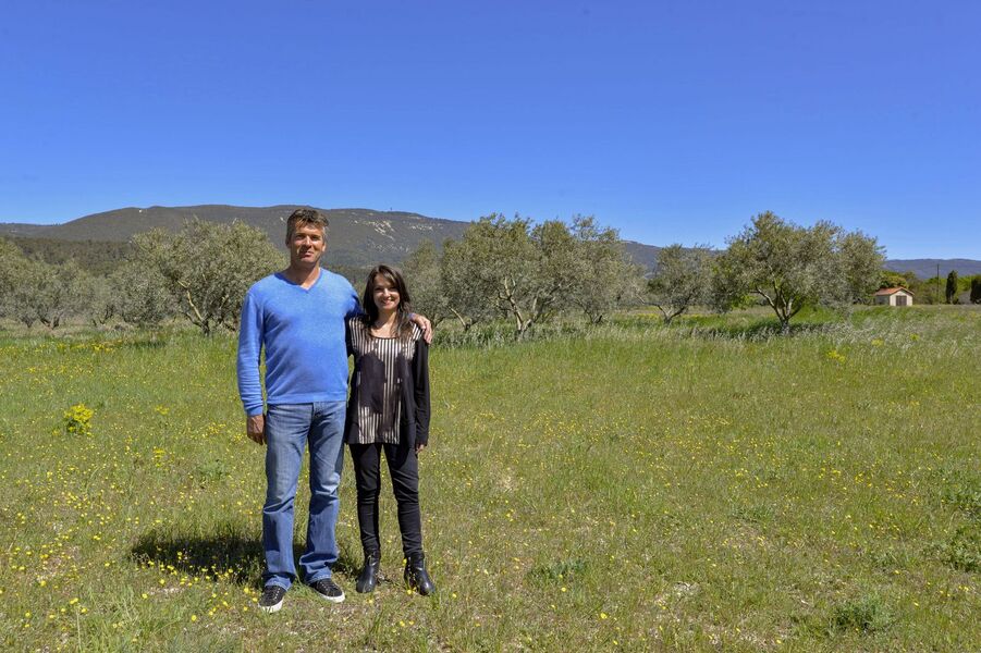 Moulin à huile d'olive et Domaine Oliversion