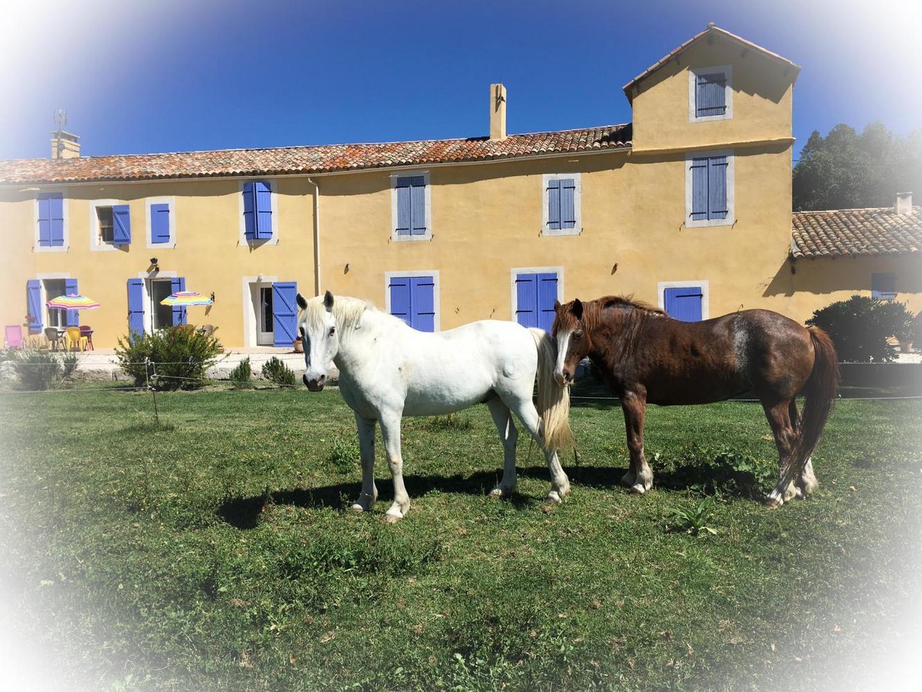 L'Etoile, Saintes-Maries-de-la-Mer - photo 3