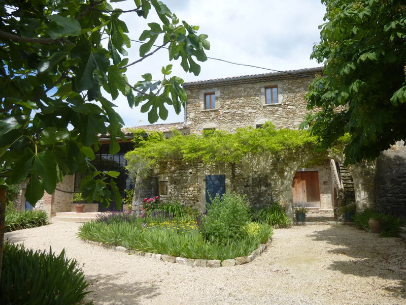 La cour aux marronniers