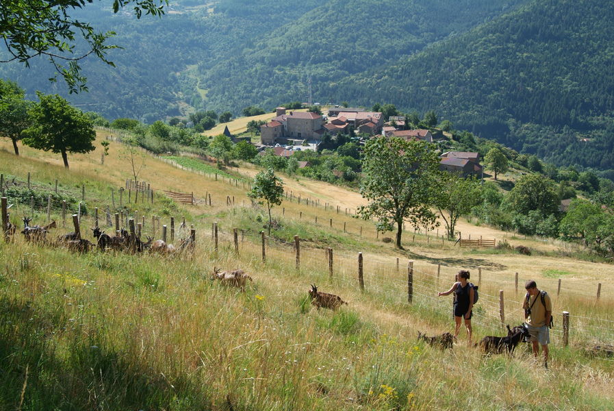 Randonnée à Monestier