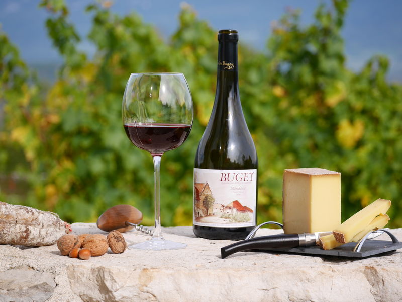 Vignobles du Bugey