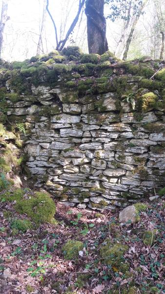 Murgets du Revermont