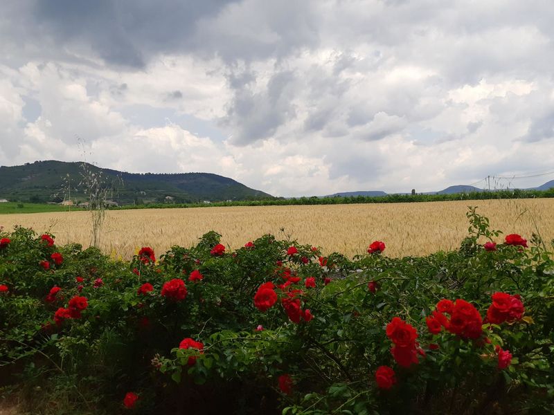 Chambres d'hôtes la Musardière