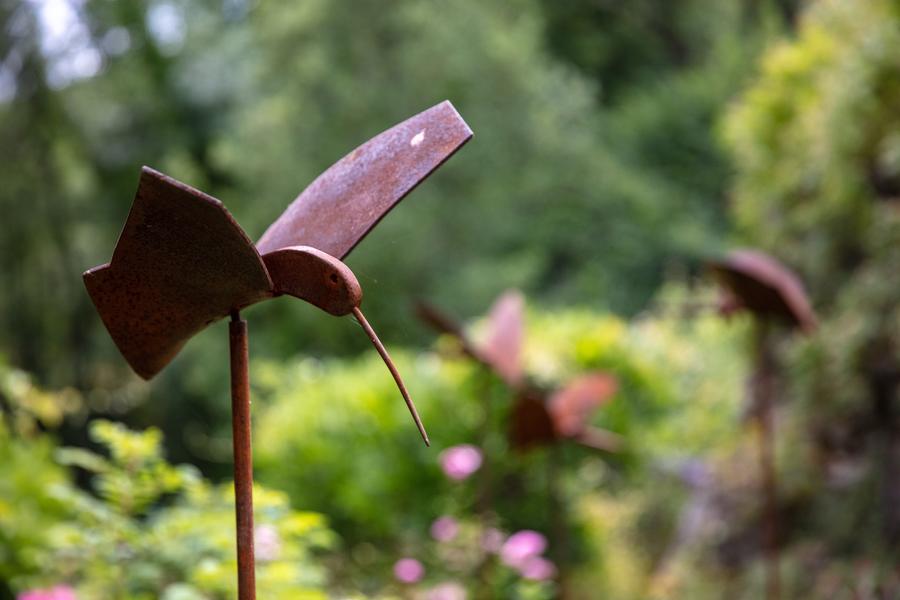 Association Colette Bonzo