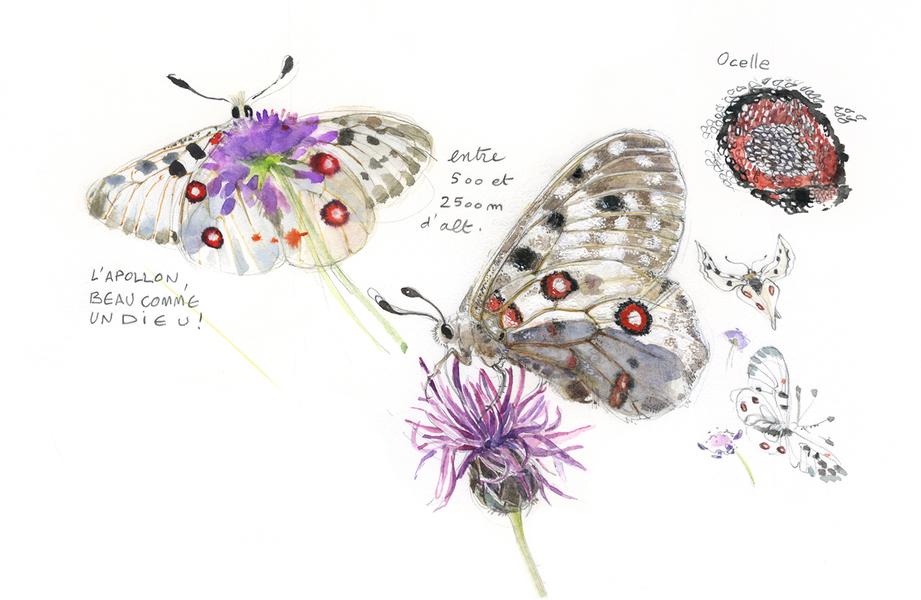 Nature de flûtes - concert et aquarelle I Rendez-vous Nature en Savoie_Val-Cenis