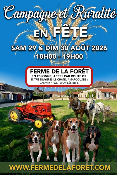 Campagne et Ruralitu00e9 en fu00eate_Bruyu00e8res-le-Chu00e2tel
