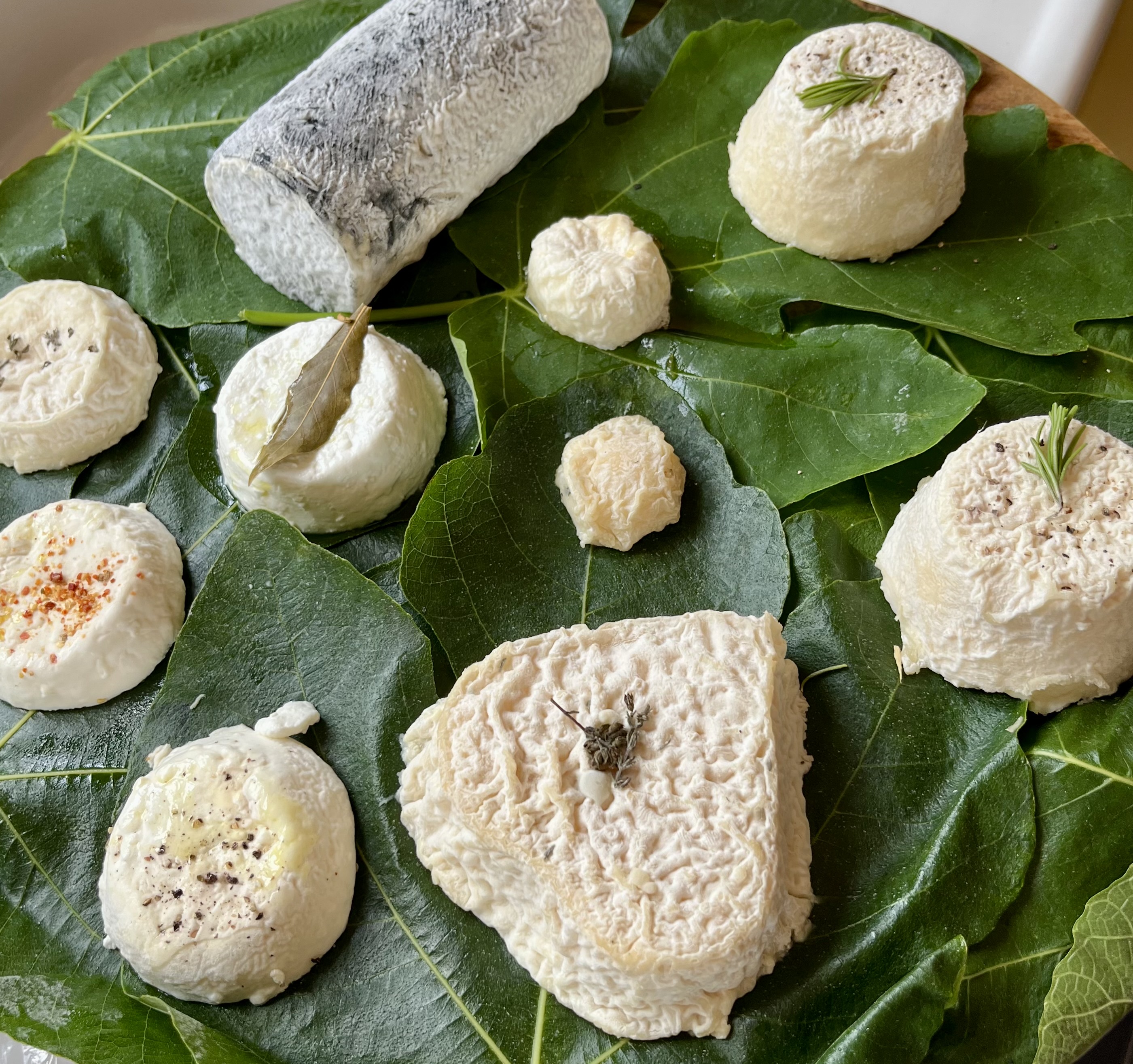 Fan de Chèvre