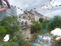 trames et corridors - explorateurs de nature v2