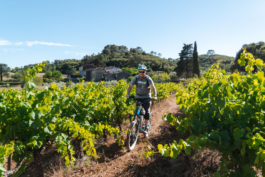 Balade Vigneronne