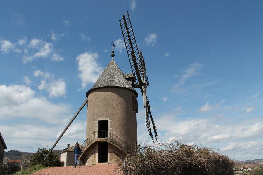 Moulin à Vent à Romanèche-Thorins