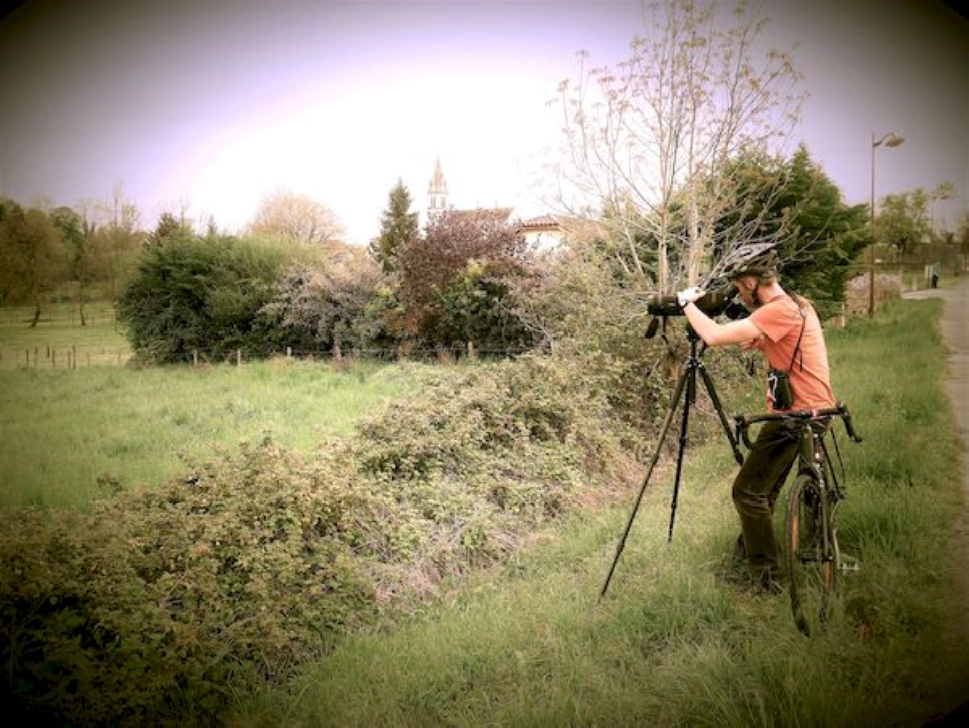 Sortie Lo Parvi : balade ornithologique sur la Via Rhôna