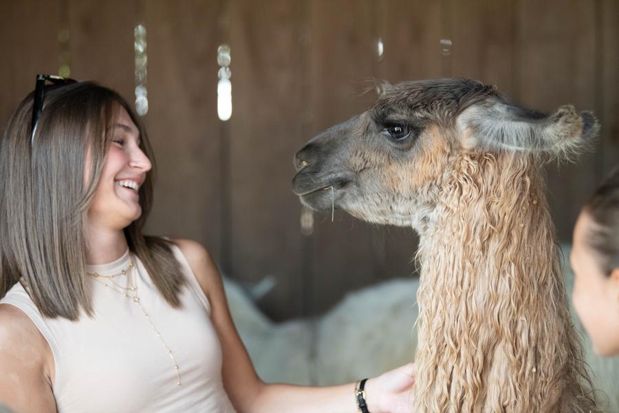 Photo montrant une jeune femme avec un des Lamas des plaines