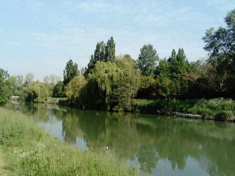 Sèvre Niortaise