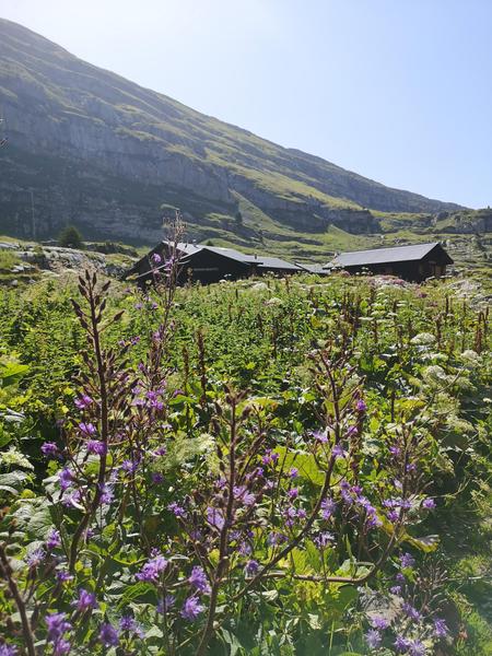 Refuge de Sales