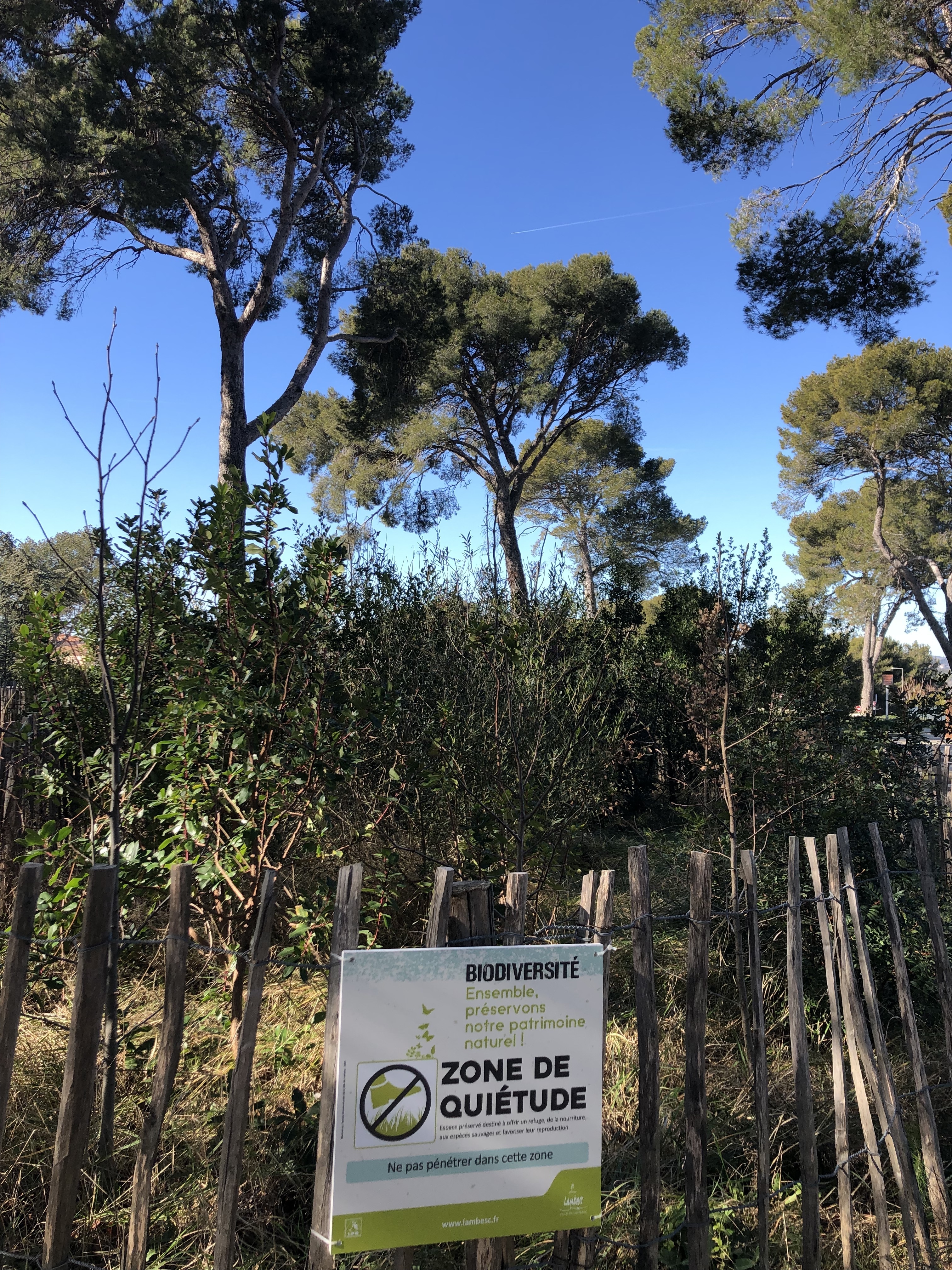 Parc aux écureuils - photo 3