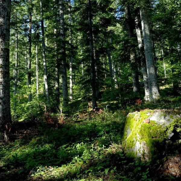 - © Parc national des Ecrins - © Parc national des Ecrins