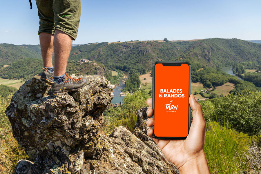 Rando break dans les bois - Une authentique rando mode déconnexion