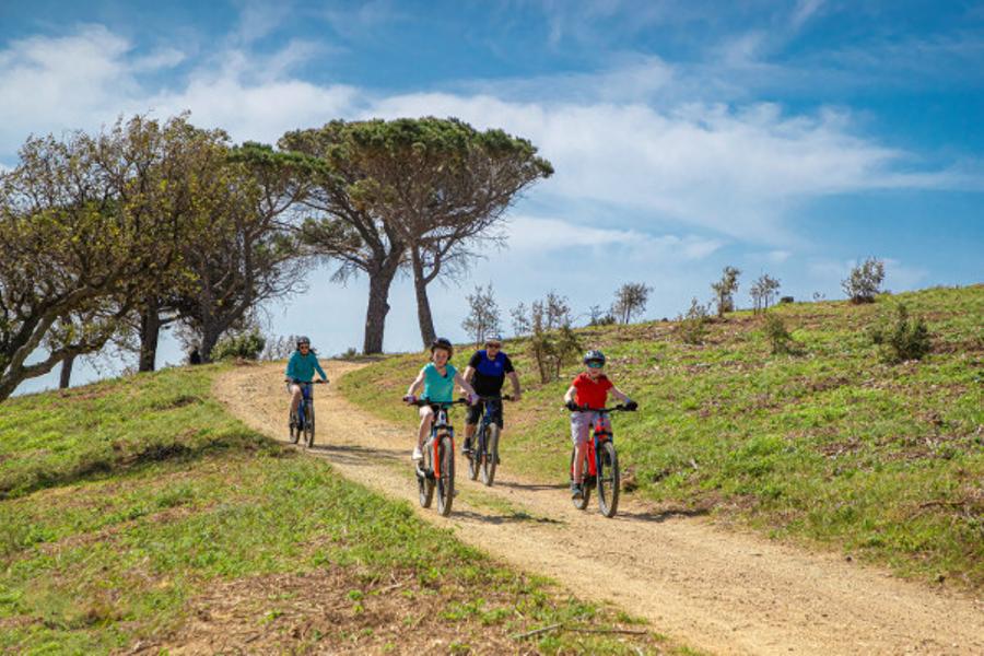 Semi rigid emountain bike rental