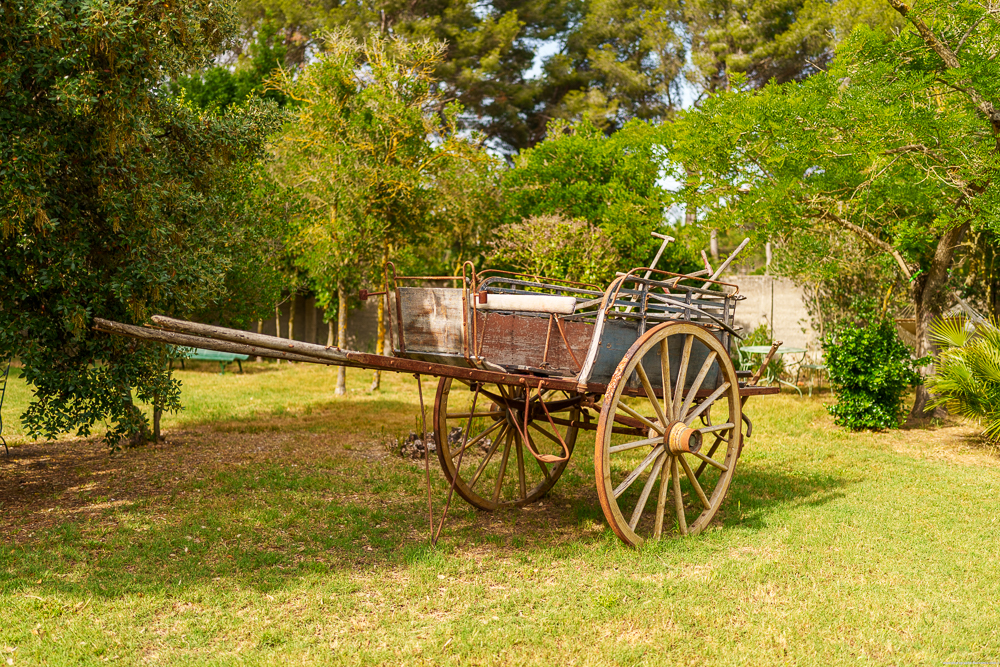 Un Nid en Camargue, Arles - photo 38