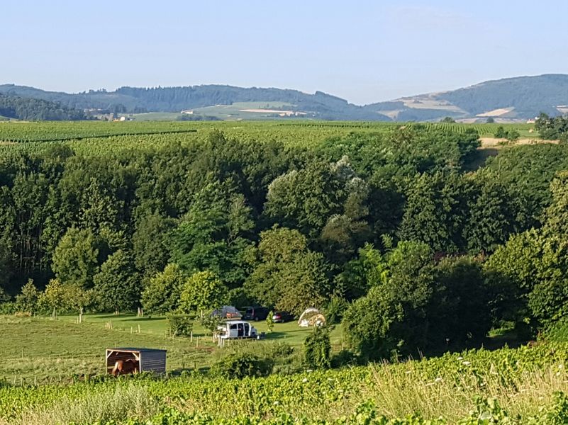 Camping chez le Vigneron à JULLIE