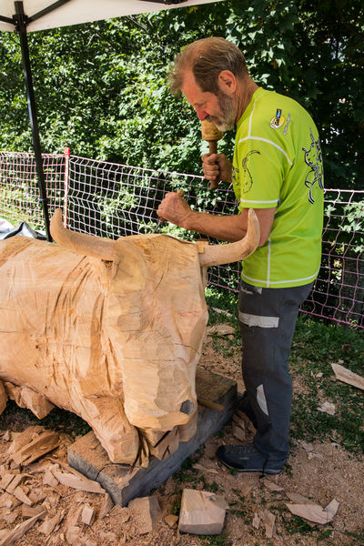 Art vache : Barbotine